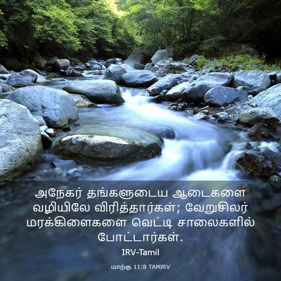 Picture 03 - மாற்கு 11:8 TAMIRV - அநேகர் தங்களுடைய - Bible Verse Picture