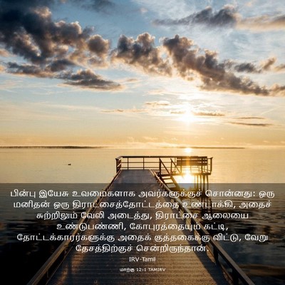 Picture 03 - மாற்கு 12:1 TAMIRV - பின்பு இயேசு - Bible Verse Picture