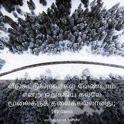 Picture 03 - மாற்கு 12:10 TAMIRV -  - Bible Verse Picture