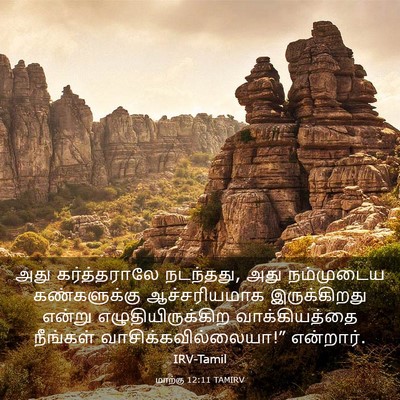 Picture 03 - மாற்கு 12:11 TAMIRV - அது கர்த்தராலே - Bible Verse Picture