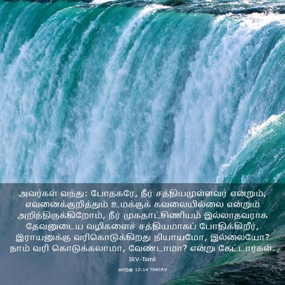 Picture 03 - மாற்கு 12:14 TAMIRV - அவர்கள் வந்து: - Bible Verse Picture