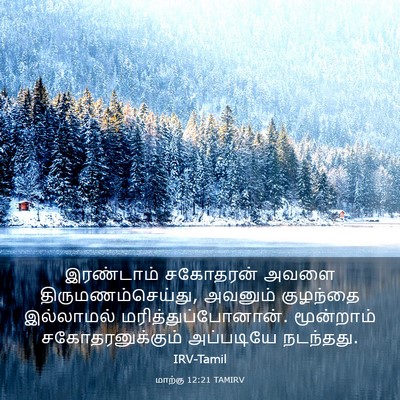 Picture 03 - மாற்கு 12:21 TAMIRV - இரண்டாம் சகோதரன் - Bible Verse Picture