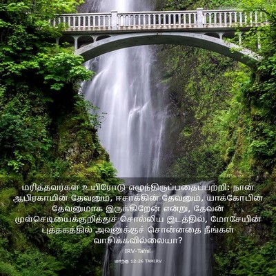 Picture 03 - மாற்கு 12:26 TAMIRV - மரித்தவர்கள் - Bible Verse Picture