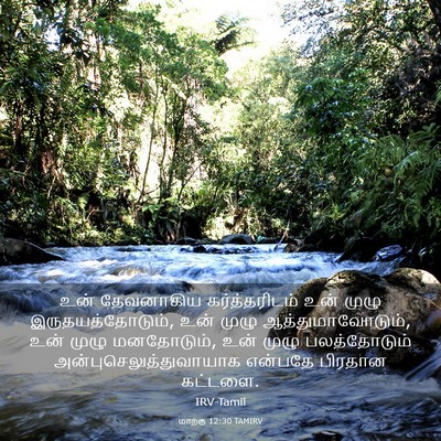 Picture 03 - மாற்கு 12:30 TAMIRV - உன் தேவனாகிய - Bible Verse Picture