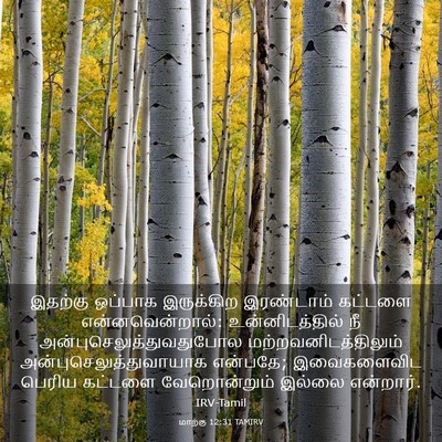Picture 03 - மாற்கு 12:31 TAMIRV - இதற்கு ஒப்பாக - Bible Verse Picture
