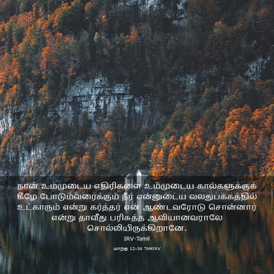 Picture 03 - மாற்கு 12:36 TAMIRV - நான் உம்முடைய - Bible Verse Picture