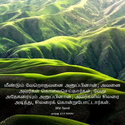 Picture 03 - மாற்கு 12:5 TAMIRV - மீண்டும் - Bible Verse Picture