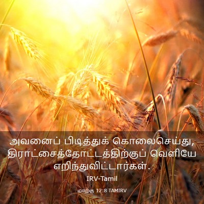 Picture 03 - மாற்கு 12:8 TAMIRV - அவனைப் பிடித்துக் - Bible Verse Picture