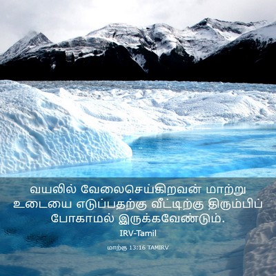 Picture 03 - மாற்கு 13:16 TAMIRV - வயலில் - Bible Verse Picture