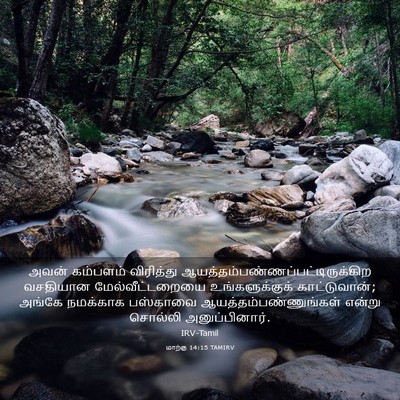 Picture 03 - மாற்கு 14:15 TAMIRV - அவன் கம்பளம் - Bible Verse Picture