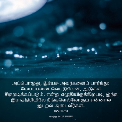 Picture 03 - மாற்கு 14:27 TAMIRV - அப்பொழுது, இயேசு - Bible Verse Picture