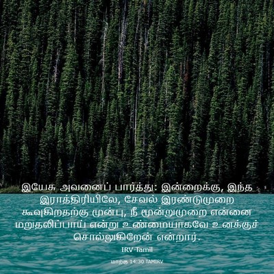 Picture 03 - மாற்கு 14:30 TAMIRV - இயேசு அவனைப் - Bible Verse Picture