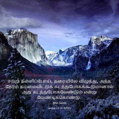 Picture 03 - மாற்கு 14:35 TAMIRV - சற்று - Bible Verse Picture