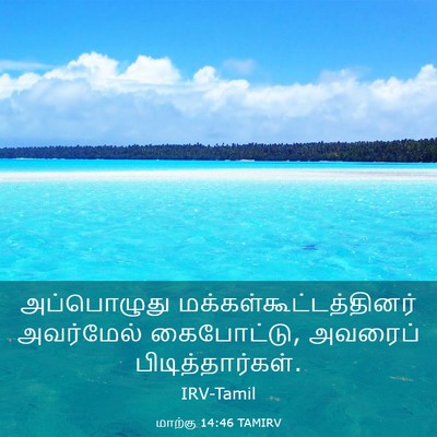 Picture 03 - மாற்கு 14:46 TAMIRV - அப்பொழுது - Bible Verse Picture