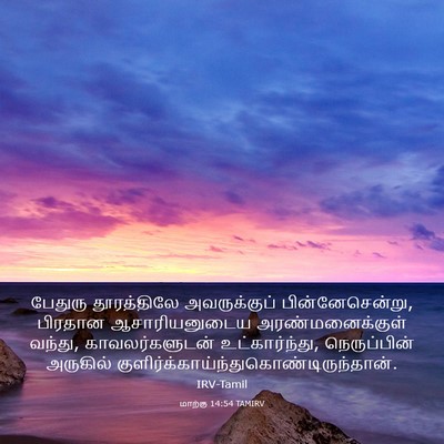 Picture 03 - மாற்கு 14:54 TAMIRV - பேதுரு தூரத்திலே - Bible Verse Picture