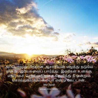 Picture 03 - மாற்கு 14:60 TAMIRV - அப்பொழுது பிரதான - Bible Verse Picture