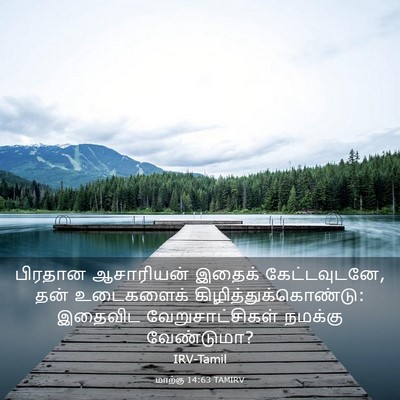 Picture 03 - மாற்கு 14:63 TAMIRV - பிரதான ஆசாரியன் - Bible Verse Picture