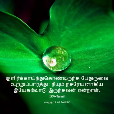 Picture 03 - மாற்கு 14:67 TAMIRV -  - Bible Verse Picture