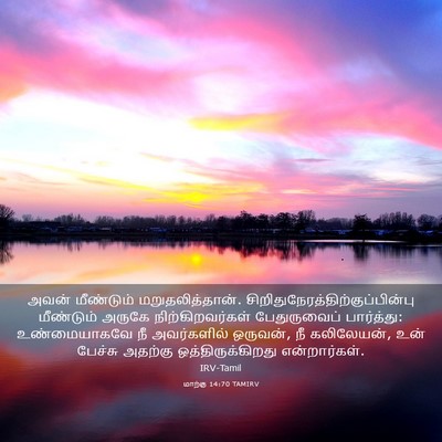 Picture 03 - மாற்கு 14:70 TAMIRV - அவன் மீண்டும் - Bible Verse Picture