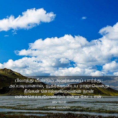 Picture 03 - மாற்கு 15:12 TAMIRV - பிலாத்து மீண்டும் - Bible Verse Picture