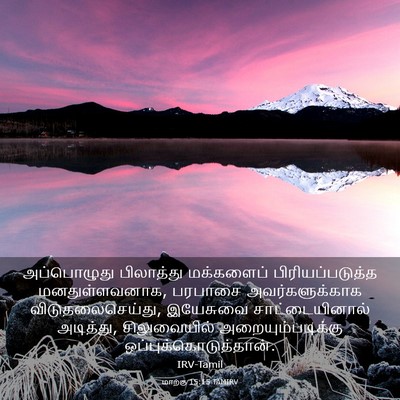 Picture 03 - மாற்கு 15:15 TAMIRV - அப்பொழுது - Bible Verse Picture