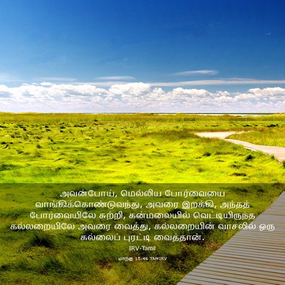 Picture 03 - மாற்கு 15:46 TAMIRV - அவன்போய், மெல்லிய - Bible Verse Picture