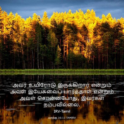 Picture 03 - மாற்கு 16:11 TAMIRV - அவர் உயிரோடு - Bible Verse Picture