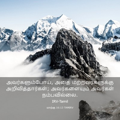 Picture 03 - மாற்கு 16:13 TAMIRV - அவர்களும்போய், - Bible Verse Picture