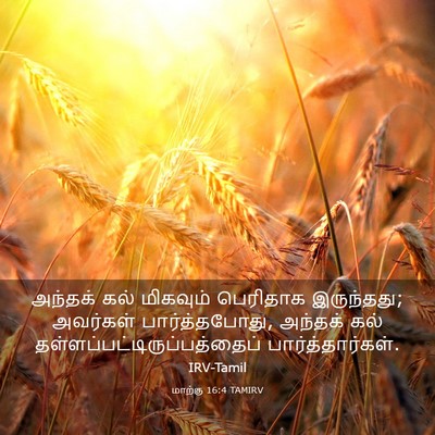 Picture 03 - மாற்கு 16:4 TAMIRV - அந்தக் கல் - Bible Verse Picture