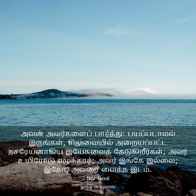 Picture 03 - மாற்கு 16:6 TAMIRV - அவன் அவர்களைப் - Bible Verse Picture