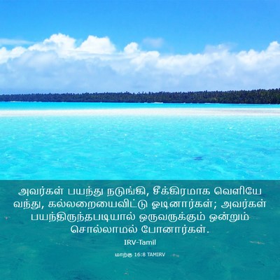 Picture 03 - மாற்கு 16:8 TAMIRV - அவர்கள் பயந்து - Bible Verse Picture