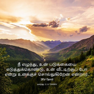 Picture 03 - மாற்கு 2:11 TAMIRV - நீ எழுந்து, உன் - Bible Verse Picture