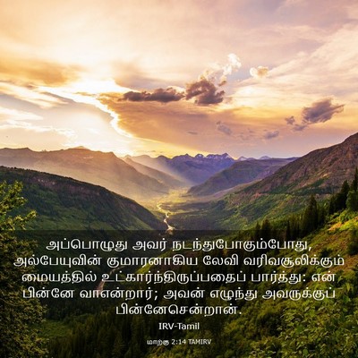 Picture 03 - மாற்கு 2:14 TAMIRV - அப்பொழுது அவர் - Bible Verse Picture