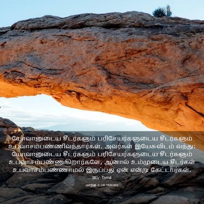 Picture 03 - மாற்கு 2:18 TAMIRV - யோவானுடைய - Bible Verse Picture