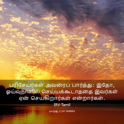 Picture 03 - மாற்கு 2:24 TAMIRV - பரிசேயர்கள் - Bible Verse Picture