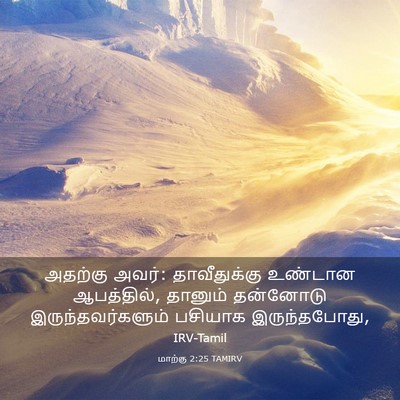 Picture 03 - மாற்கு 2:25 TAMIRV - அதற்கு அவர்: - Bible Verse Picture