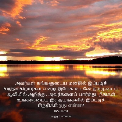 Picture 03 - மாற்கு 2:8 TAMIRV - அவர்கள் தங்களுடைய - Bible Verse Picture