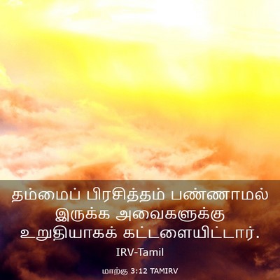 Picture 03 - மாற்கு 3:12 TAMIRV - தம்மைப் - Bible Verse Picture