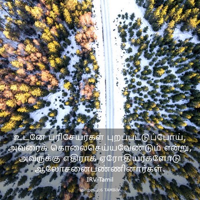 Picture 03 - மாற்கு 3:6 TAMIRV - உடனே பரிசேயர்கள் - Bible Verse Picture