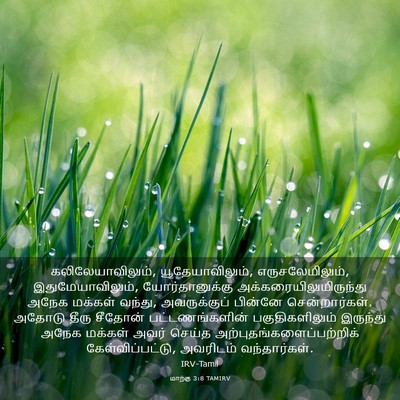 Picture 03 - மாற்கு 3:8 TAMIRV - கலிலேயாவிலும், - Bible Verse Picture