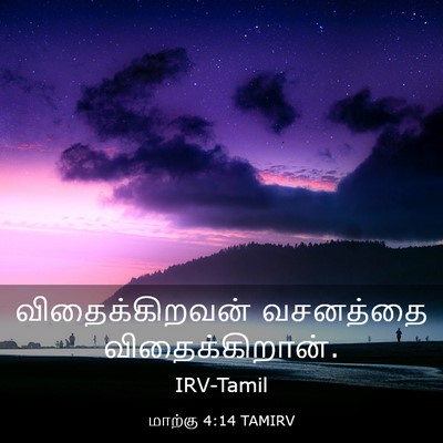 Picture 03 - மாற்கு 4:14 TAMIRV - விதைக்கிறவன் - Bible Verse Picture