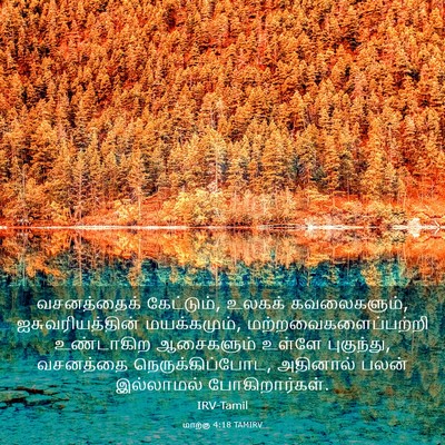 Picture 03 - மாற்கு 4:18 TAMIRV - வசனத்தைக் - Bible Verse Picture