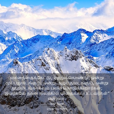 Picture 03 - மாற்கு 4:20 TAMIRV - வசனத்தைக்கேட்டு, - Bible Verse Picture