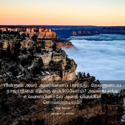 Picture 03 - மாற்கு 4:30 TAMIRV - பின்னும் அவர் - Bible Verse Picture