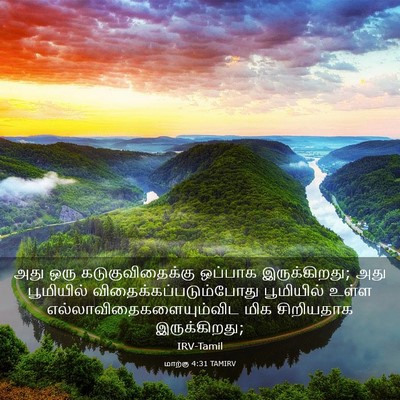 Picture 03 - மாற்கு 4:31 TAMIRV - அது ஒரு - Bible Verse Picture