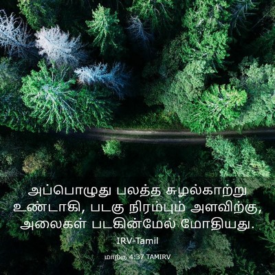 Picture 03 - மாற்கு 4:37 TAMIRV - அப்பொழுது பலத்த - Bible Verse Picture