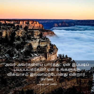 Picture 03 - மாற்கு 4:40 TAMIRV - அவர் அவர்களைப் - Bible Verse Picture