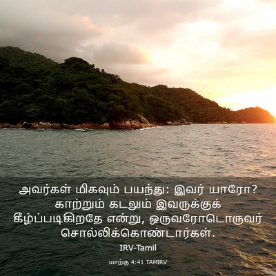 Picture 03 - மாற்கு 4:41 TAMIRV - அவர்கள் மிகவும் - Bible Verse Picture