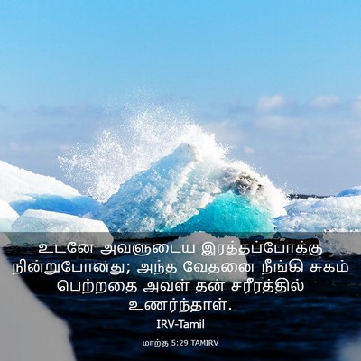 Picture 03 - மாற்கு 5:29 TAMIRV - உடனே அவளுடைய - Bible Verse Picture