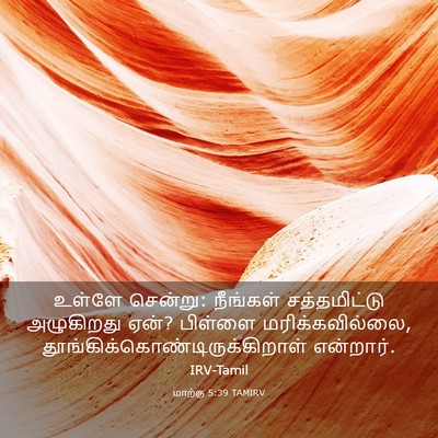 Picture 03 - மாற்கு 5:39 TAMIRV - உள்ளே சென்று: - Bible Verse Picture